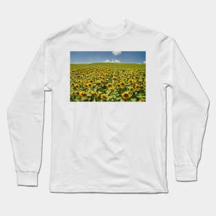 Sunflower field in the summer Long Sleeve T-Shirt